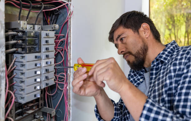 Best Home Electrical Repair  in North Utica, IL